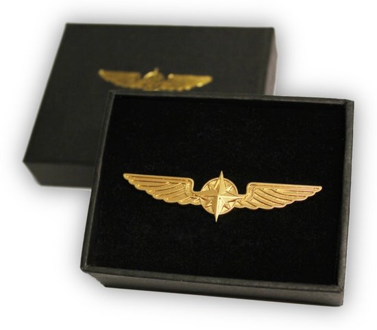 Pin Badge Pilot Wings Gold color